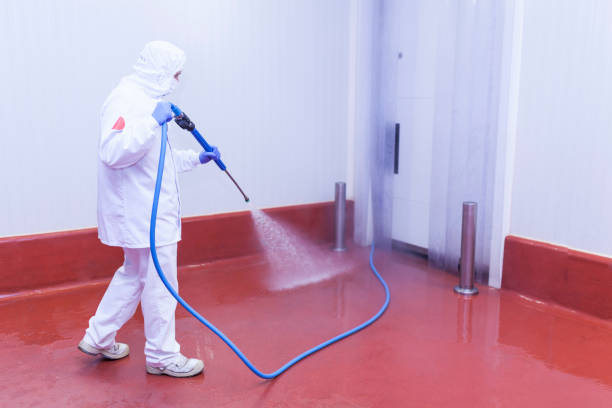 Best Driveway Pressure Washing  in Manhasset, NY